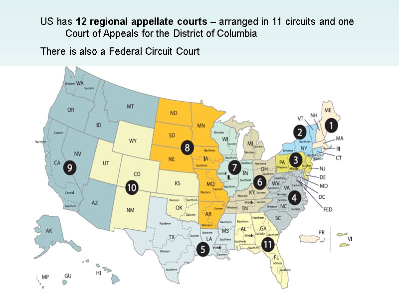 US has 12 regional appellate courts – arranged in 11 circuits and one 